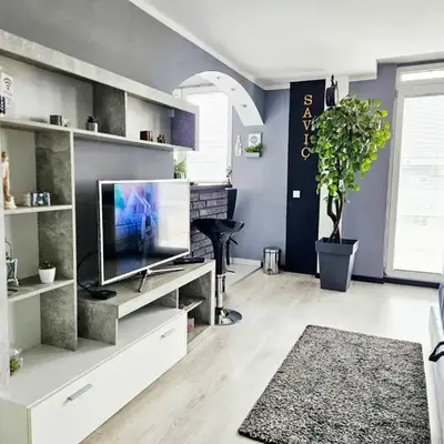 Savić Apartment CENTER - PARKING FREE